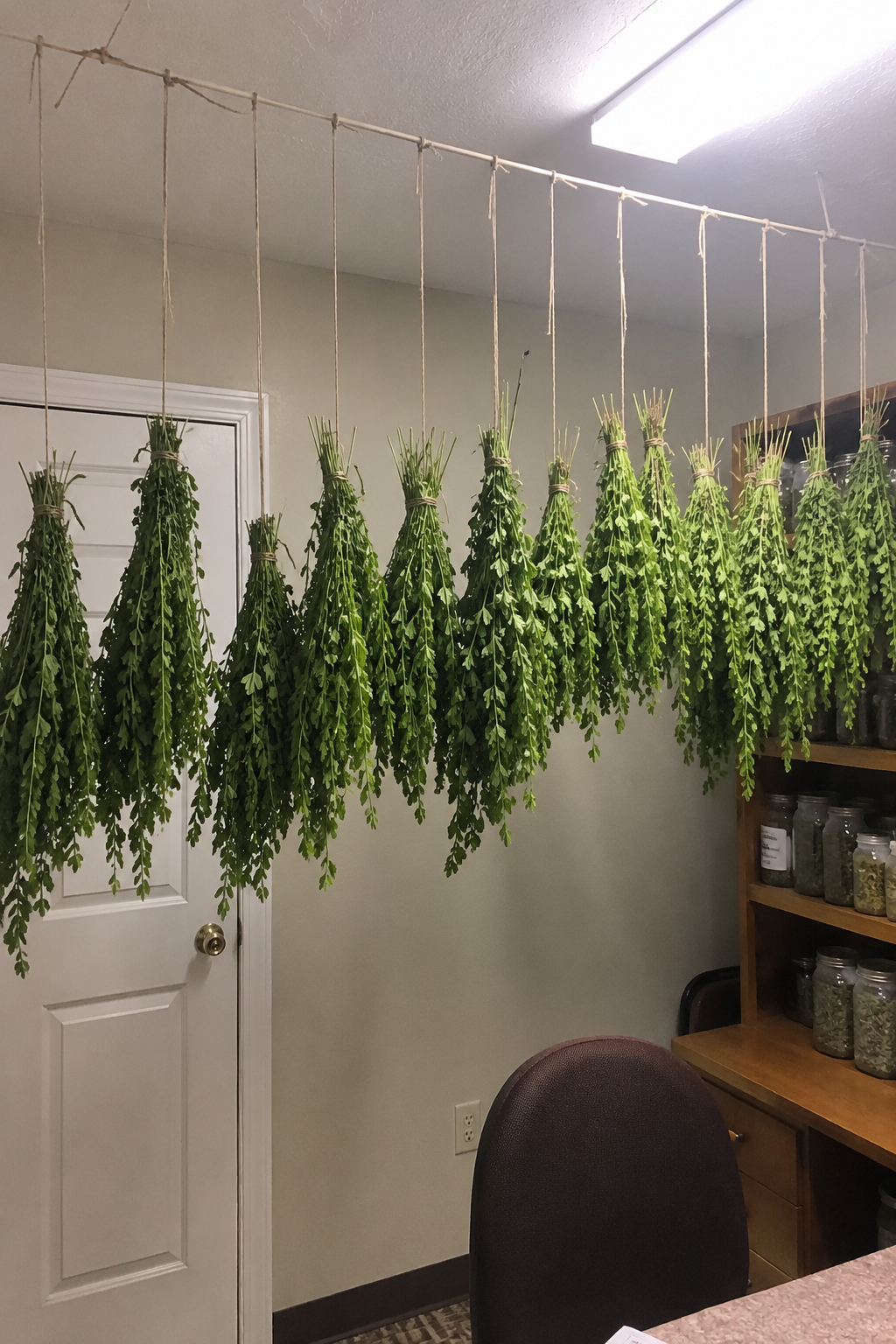 Lovingood Homestead Dried Lemon Balm product image 4